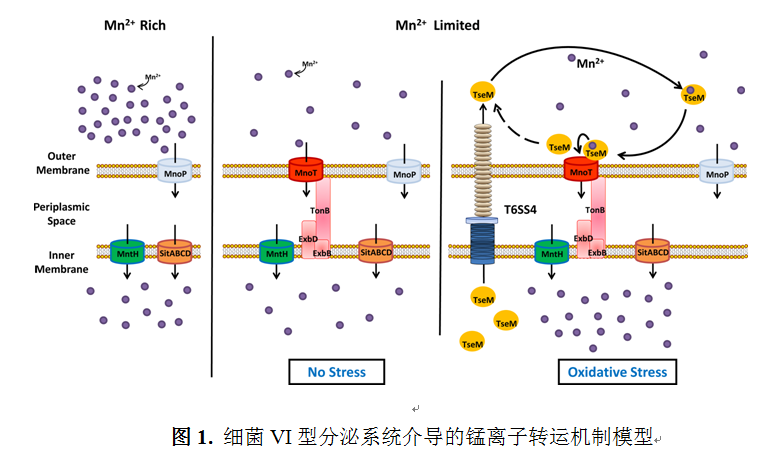 运输管理的原理是什么_运输盒是什么